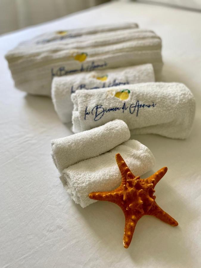 La Bicocca Di Annavi Bed & Breakfast Forio  Luaran gambar