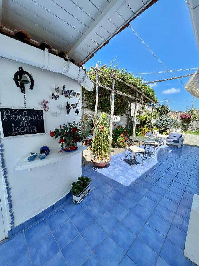 La Bicocca Di Annavi Bed & Breakfast Forio  Luaran gambar