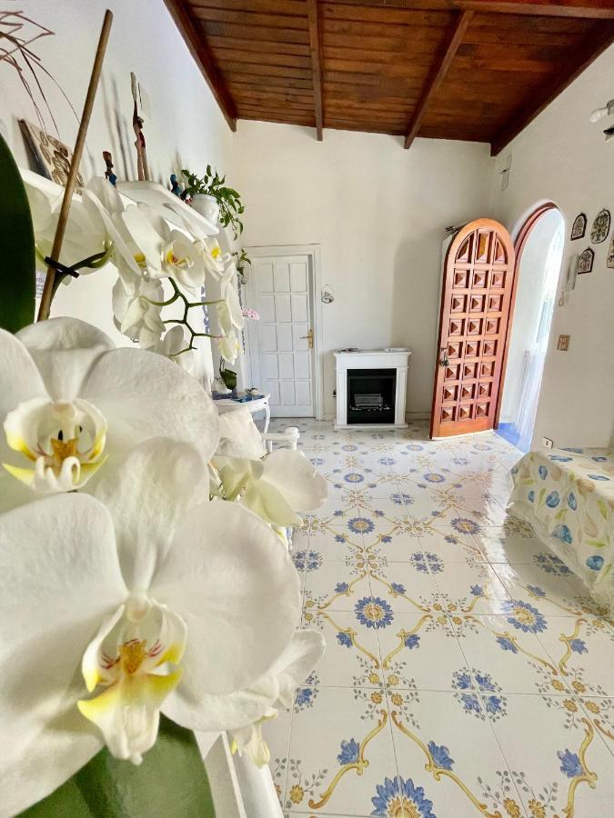 La Bicocca Di Annavi Bed & Breakfast Forio  Luaran gambar