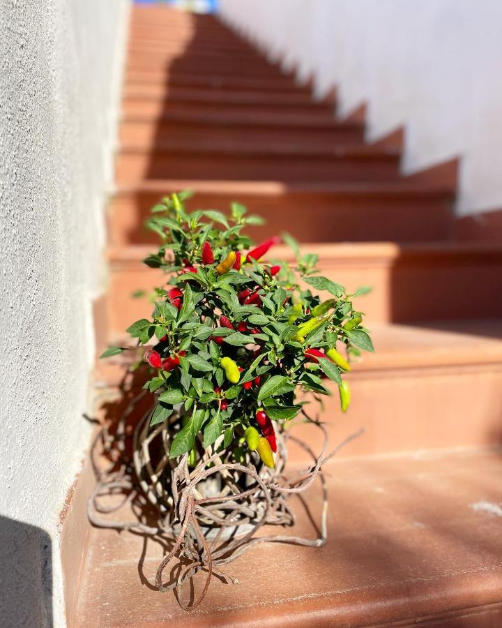 La Bicocca Di Annavi Bed & Breakfast Forio  Luaran gambar
